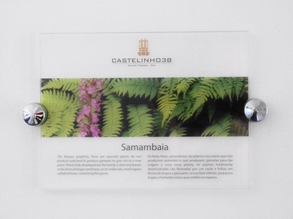Boutique Hotel Castelinho 里约热内卢 客房 照片
